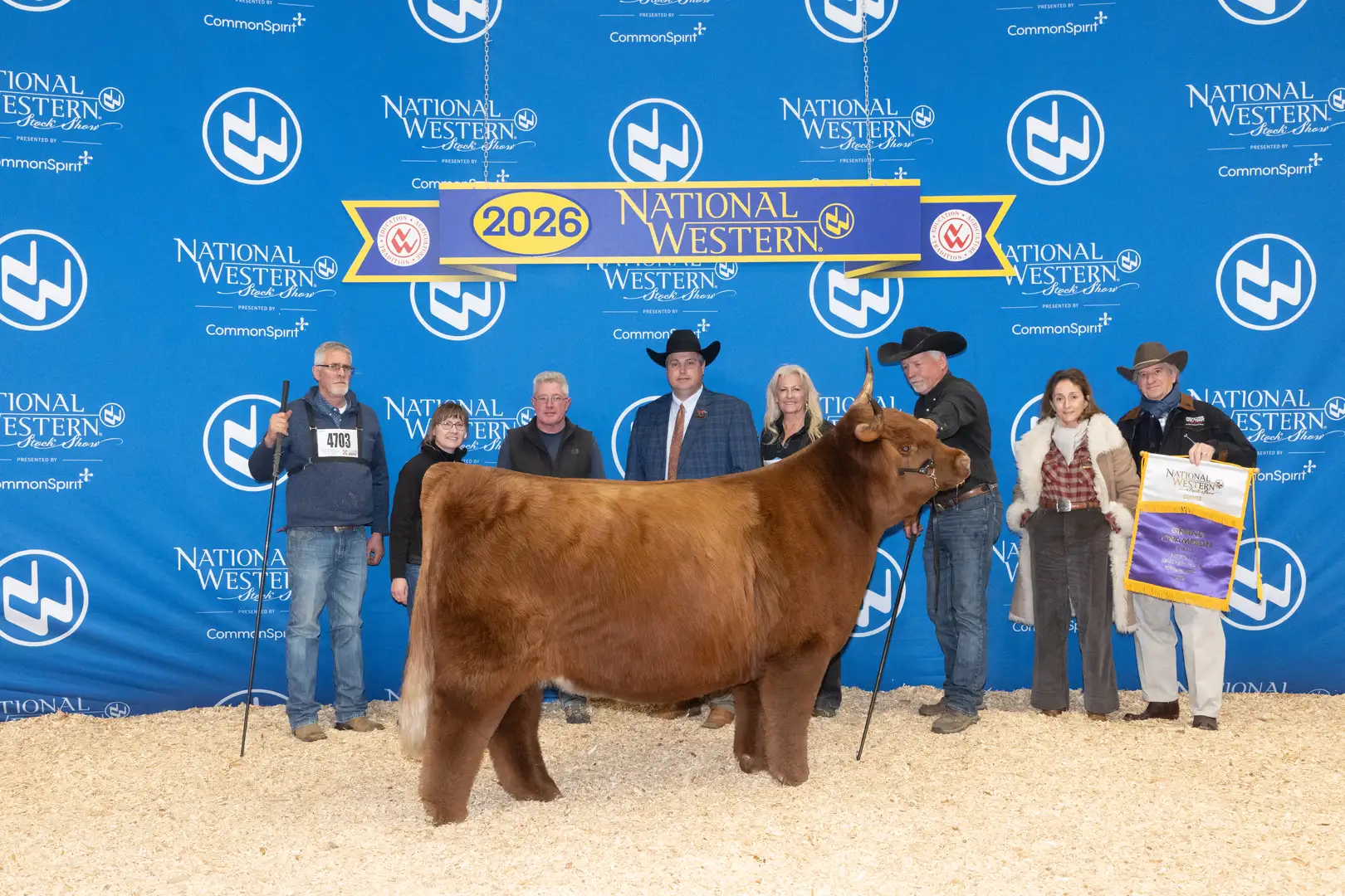 STR Betula's Keepsake - Grand Champion Female at the 2026 National Western Stock Show