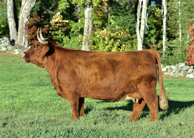 Star Lake Morgan Star Lake Morgan